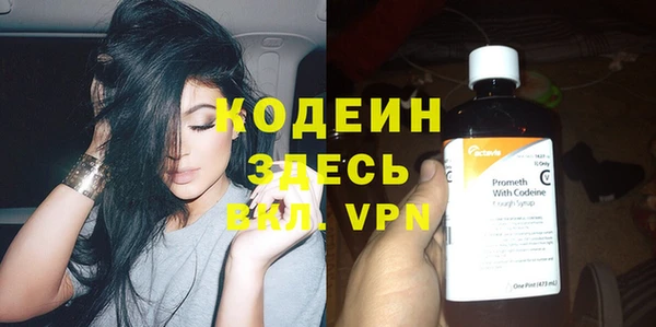 дмт Бородино