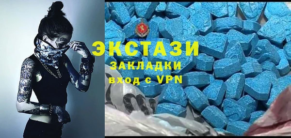индика Пестово